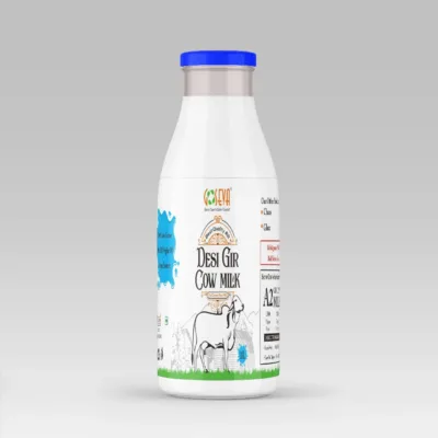 A2 Milk gir cow