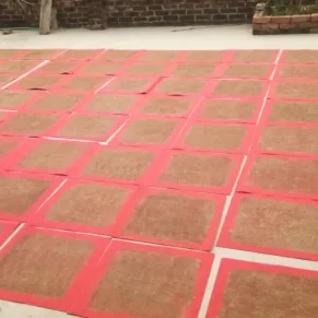 Gomaya Dhyana Asana (COW DUNG SEAT)