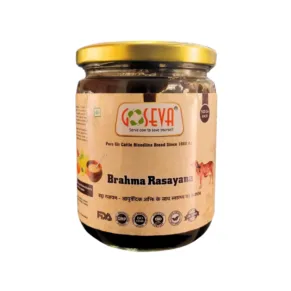 Brahma Rasayana Ayurvedic Jam for Memory and Immunity