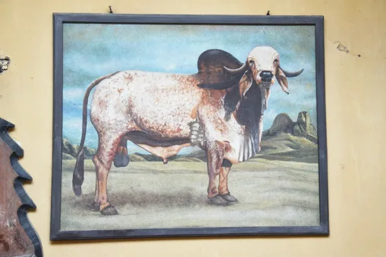 Jasdan Breeding Center