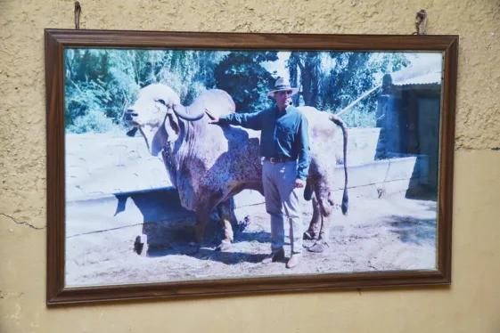 Jasdan Breeding Center