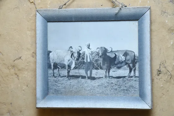 Jasdan Breeding Center