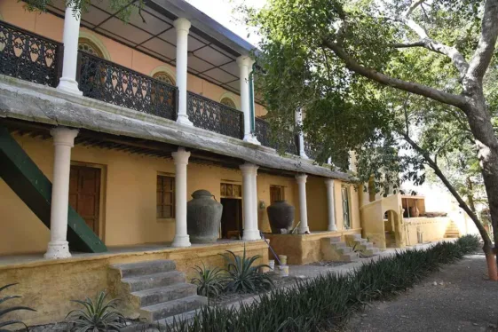 1652870083_01_19_11zon8