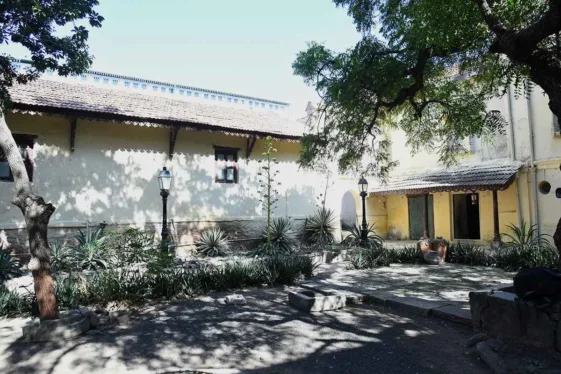 1652870083_02_1_11zonjg