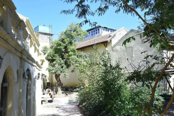 1652870083_10_9_11zonljl