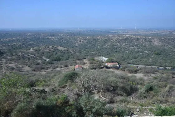 1652870083_13_12_11zonnm