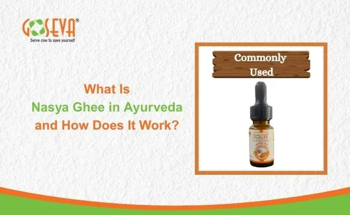 Nasya Ghee in Ayurveda
