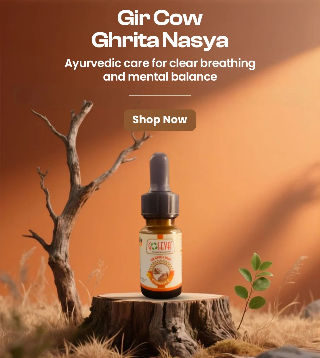 Ayur Ghee Nasya - Panchagavya Nasal Drop